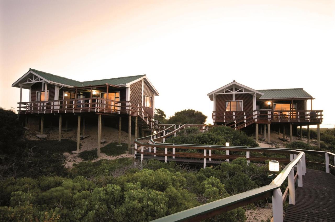 Pine Lodge Resort Port Elizabeth Exteriér fotografie